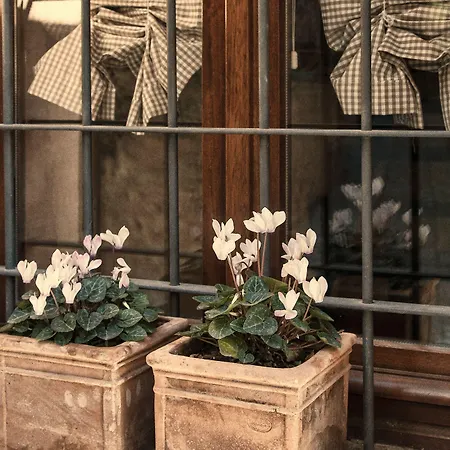 San Francesco Aparthotel 3*